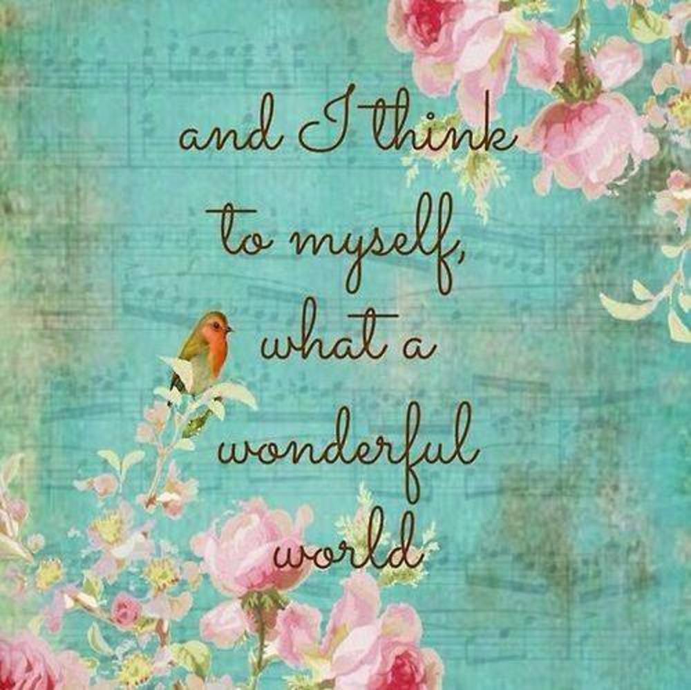 Meet your Posher, T.